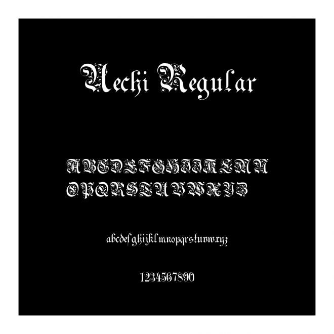 Uechi Regular