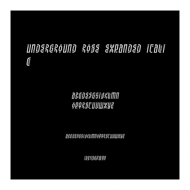 Underground Rose Expanded Italic