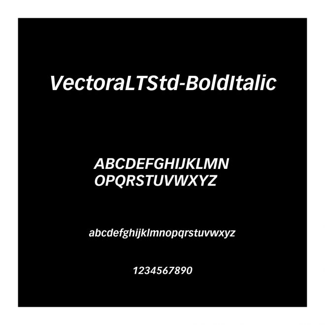VectoraLTStd-BoldItalic