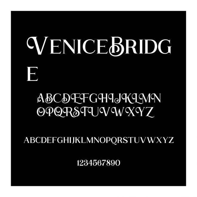 VeniceBridge
