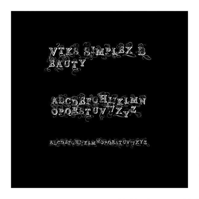 Vtks Simplex Beauty 2