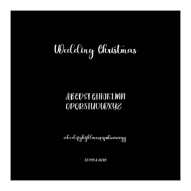 Wedding Christmas