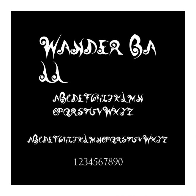 Wander Ball