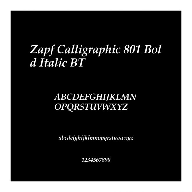 Zapf Calligraphic 801 Bold Italic BT