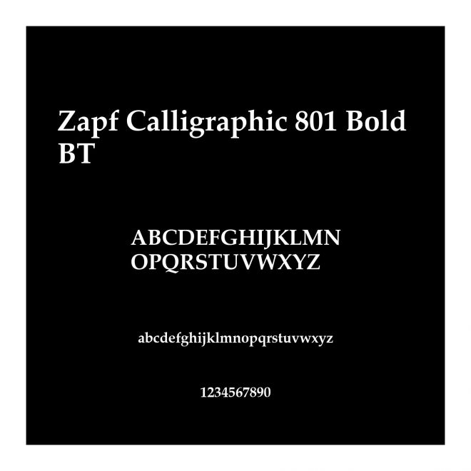 Zapf Calligraphic 801 Bold BT
