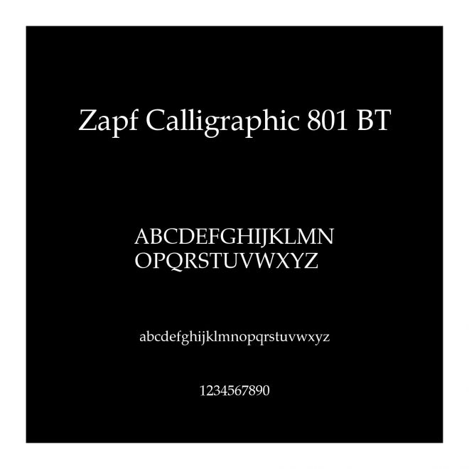 Zapf Calligraphic 801 BT