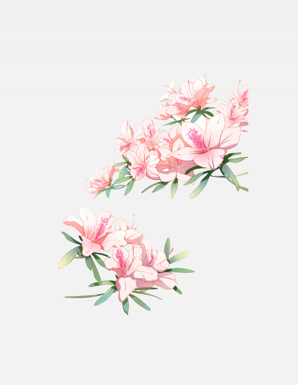 花瓣PNG素材