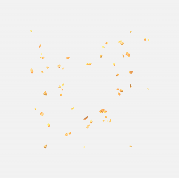 花瓣PNG素材