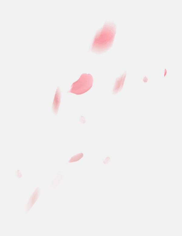 花瓣PNG素材