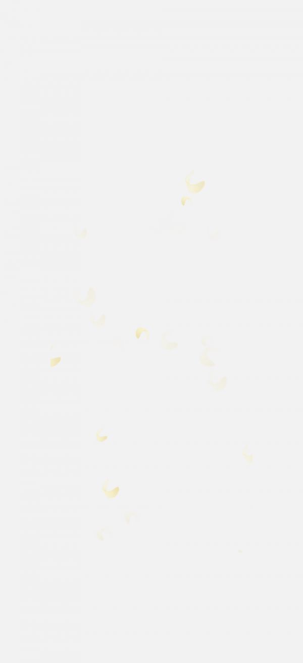 漂浮元素免摳png
