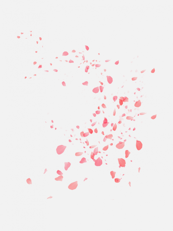 花瓣粉色素材png
