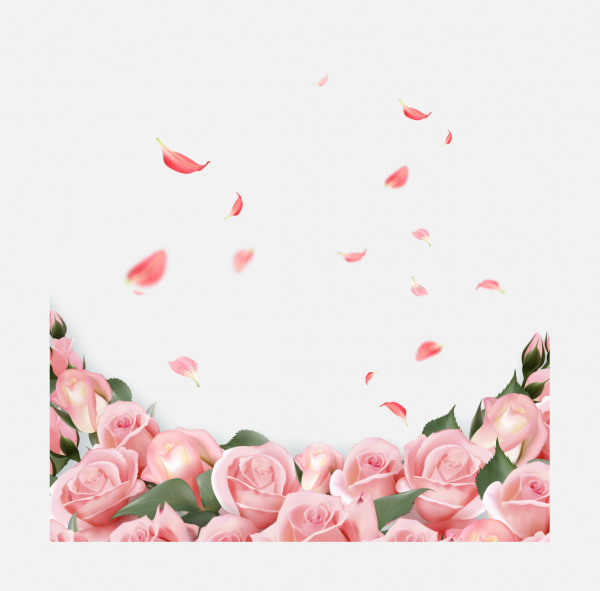 玫瑰花 花瓣