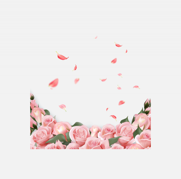 花瓣PNG素材