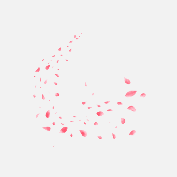 花瓣PNG素材