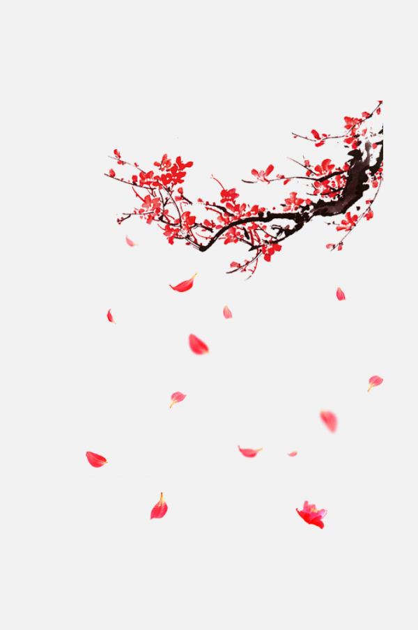 梅花枝梅花花瓣素材