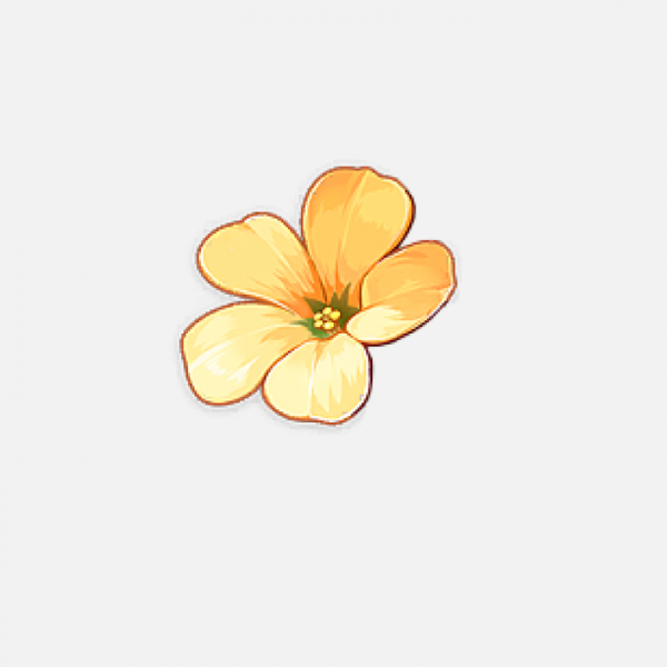 花瓣PNG素材