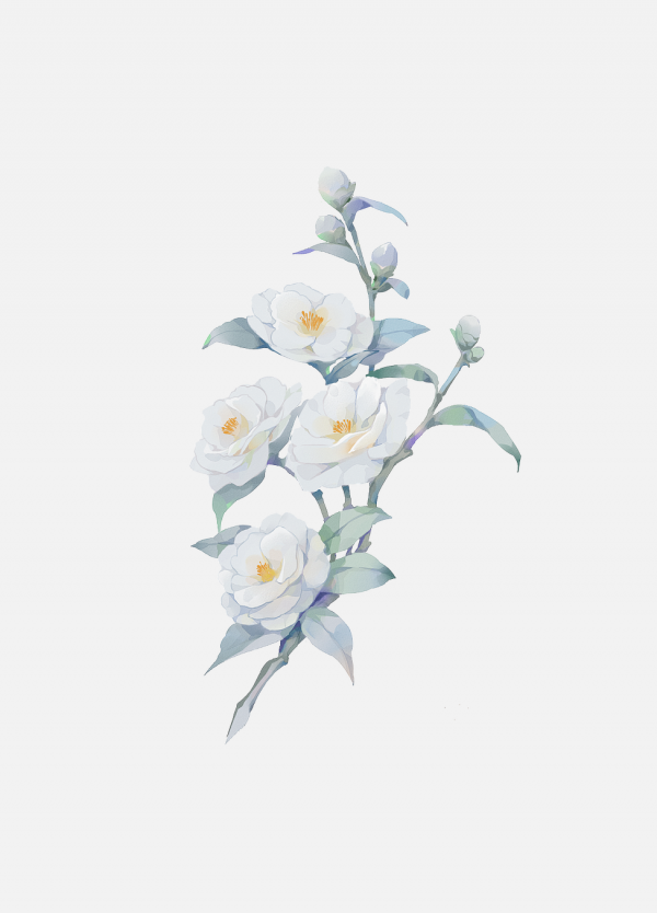 花瓣PNG素材