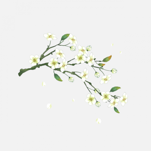 梨花