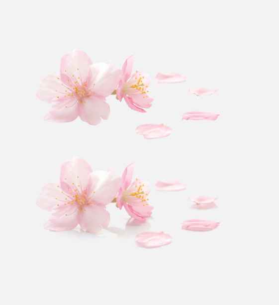 op_桃花--2