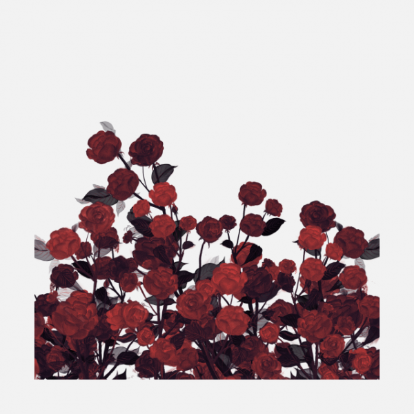 花瓣PNG素材