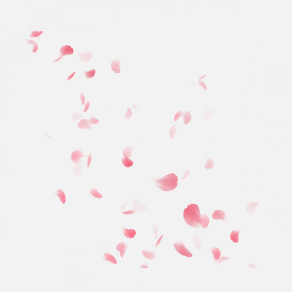 粉色漂浮花瓣玫瑰裝飾