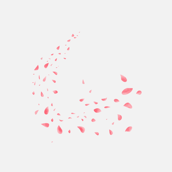 花瓣PNG素材
