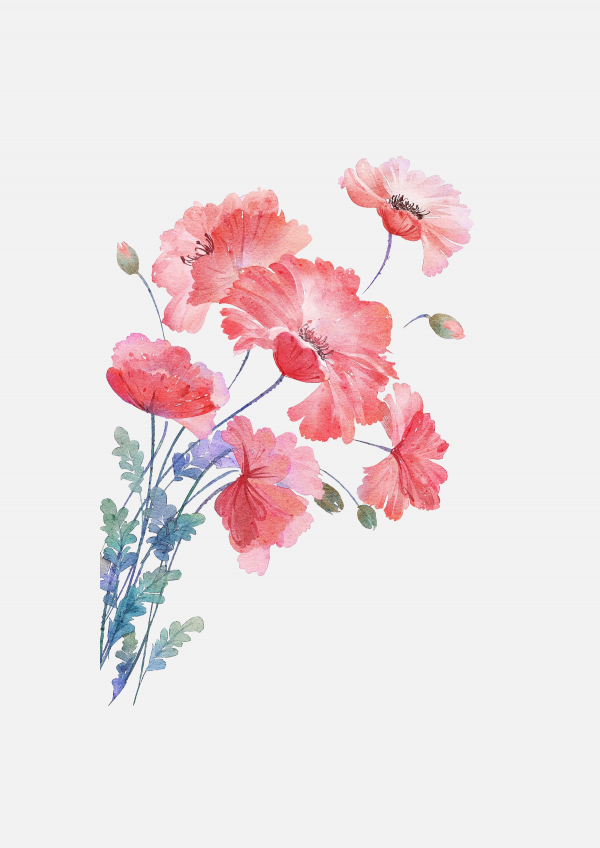 花瓣PNG素材