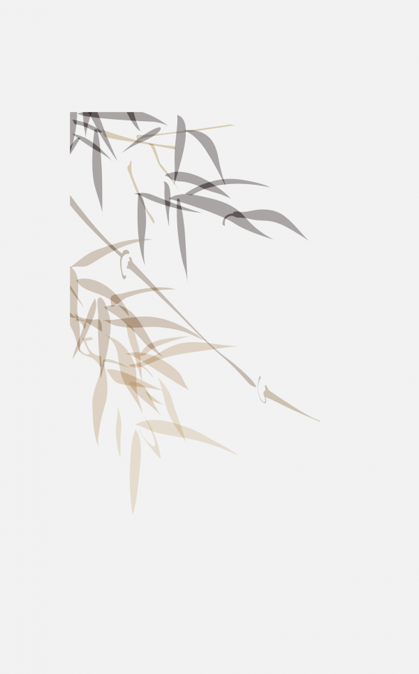 漂浮元素免抠png