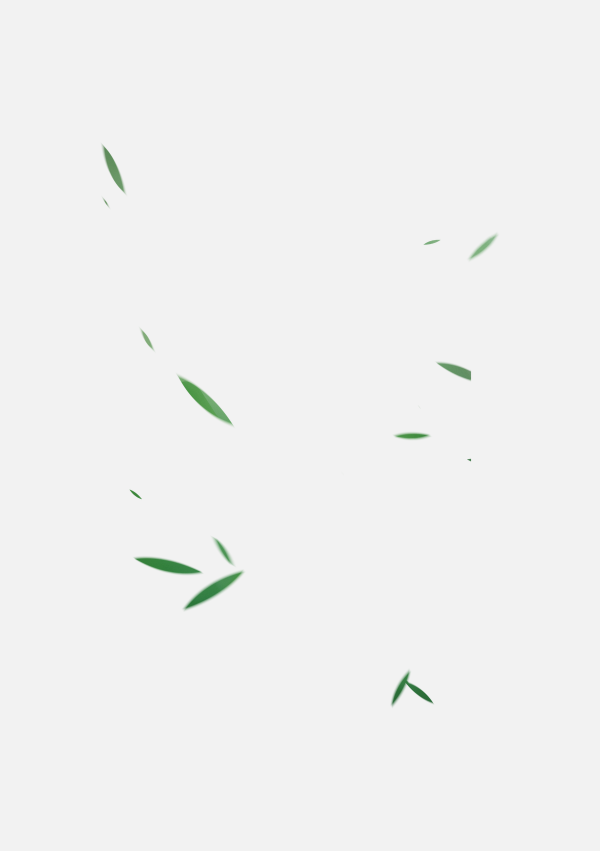 漂浮元素免摳png