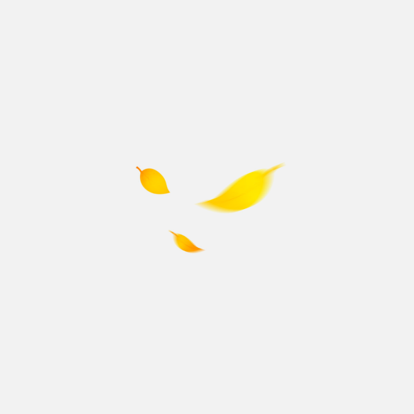 花瓣PNG素材