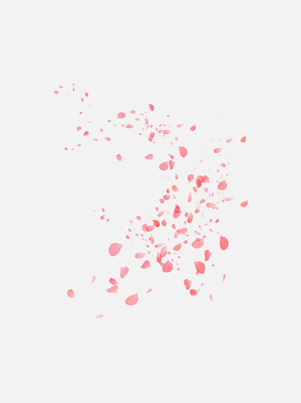 花瓣PNG素材