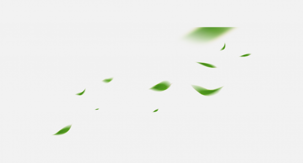 漂浮元素免摳png