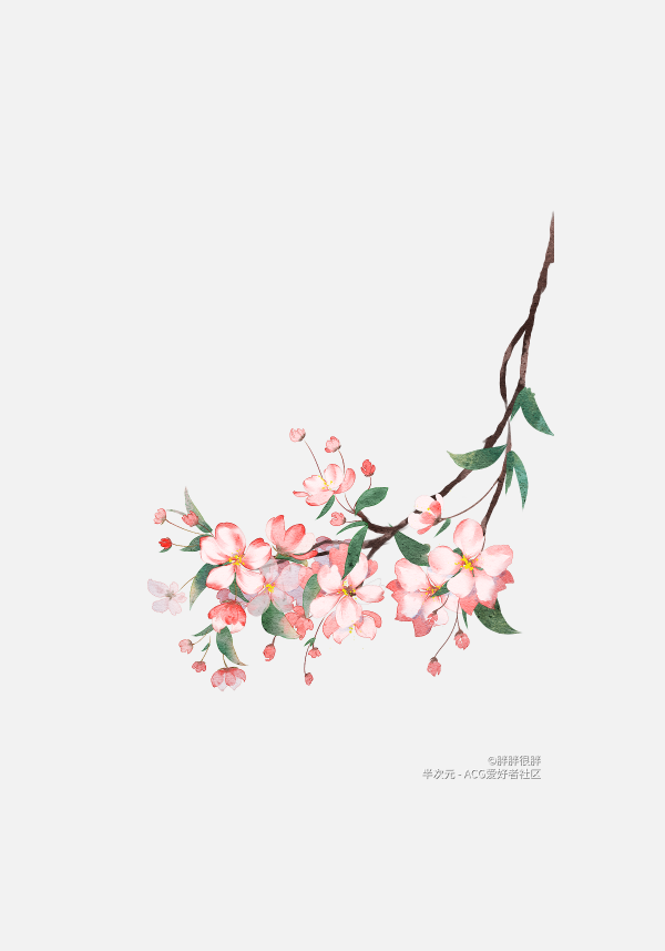 花瓣PNG素材
