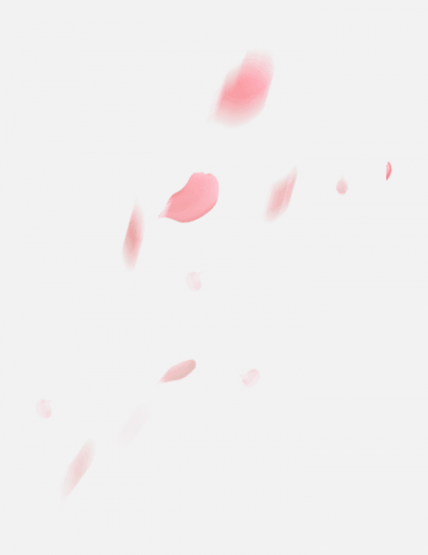 花瓣PNG素材