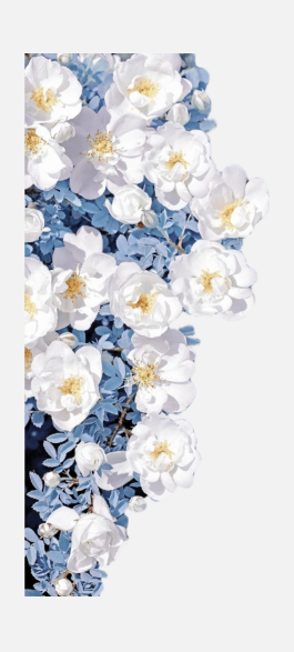 花瓣PNG素材