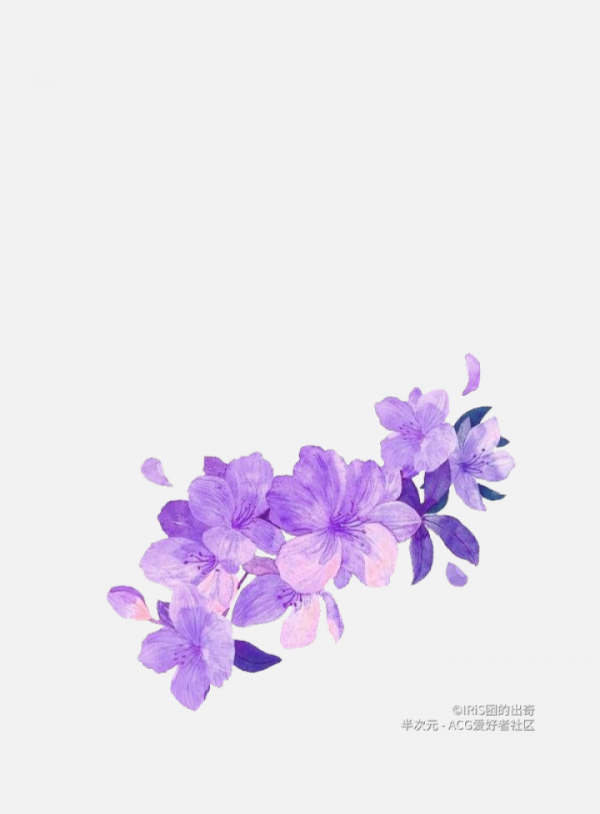 花瓣PNG素材