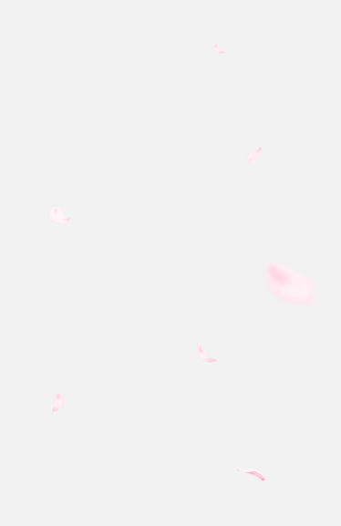 花瓣PNG素材