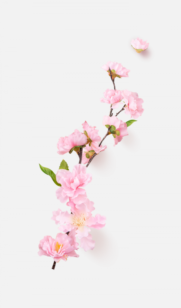 花瓣PNG素材