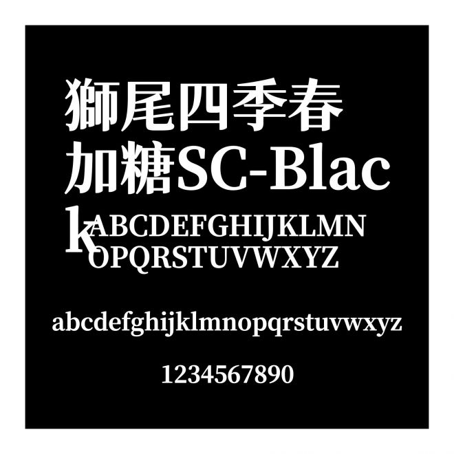 獅尾四季春加糖SC-Black