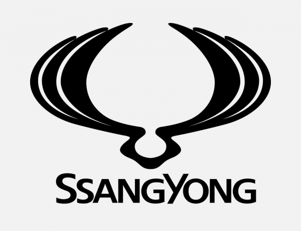 双龙LOGO免扣