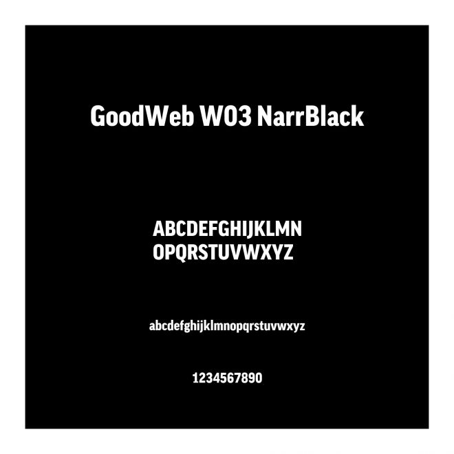 GoodWeb W03 NarrBlack