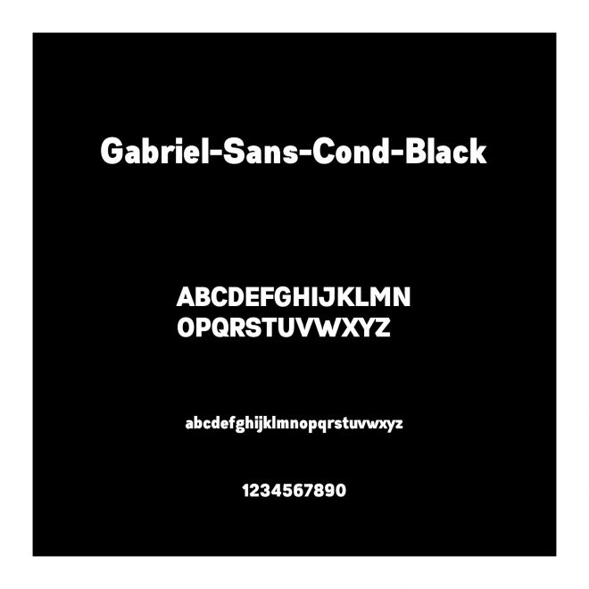 Gabriel-Sans-Cond-Black