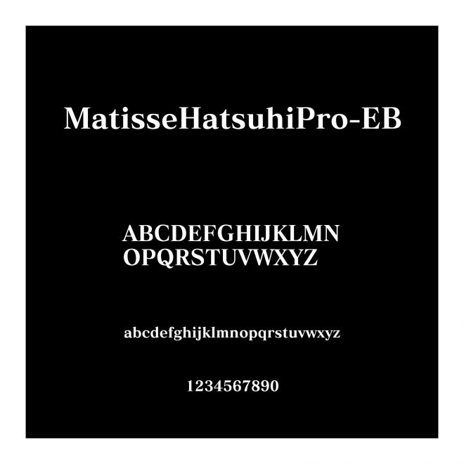 MatisseHatsuhiPro-EB