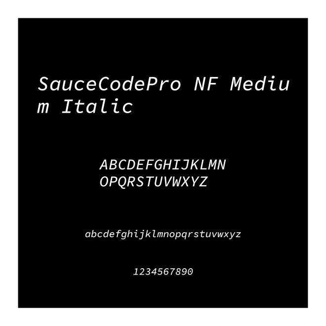 SauceCodePro NF Medium Italic