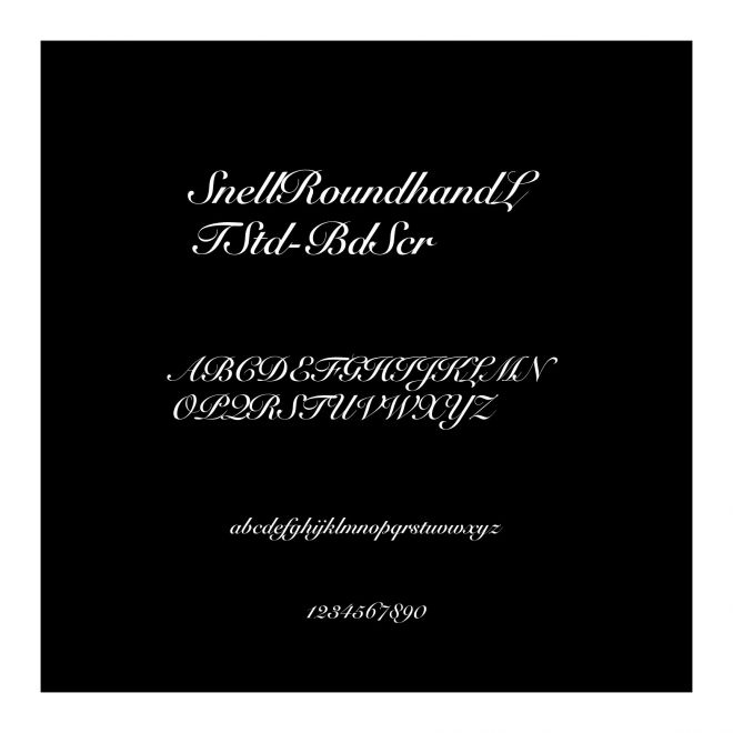 SnellRoundhandLTStd-BdScr