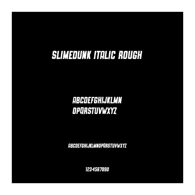 SLIMEDUNK ITALIC ROUGH