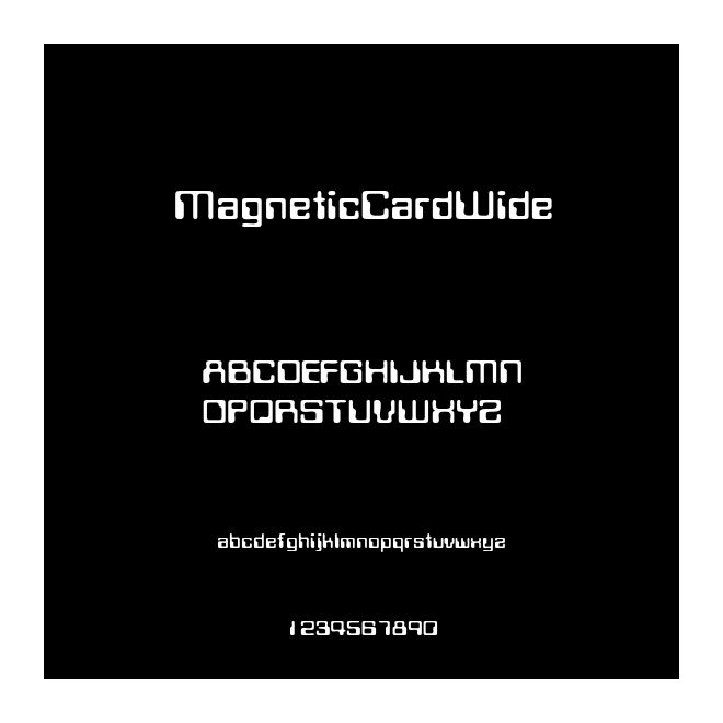 MagneticCardWide