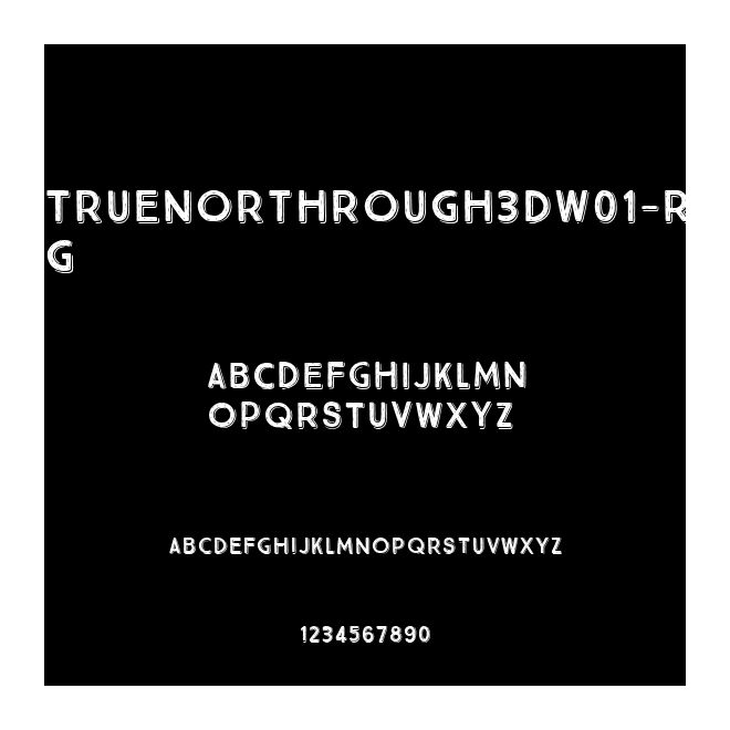 TrueNorthRough3DW01-Rg