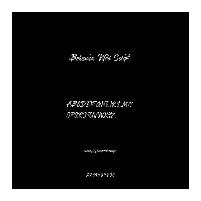 Bohemian Wild Script