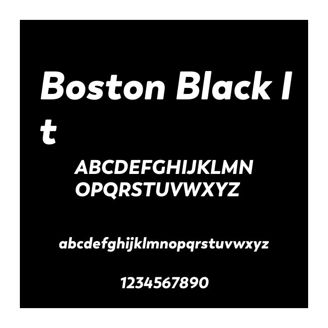 Boston Black It